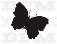 /album/hmyz/hmyz-27-jpg/